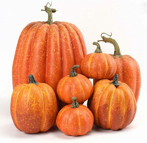 nEB 7PCS ڂ ܂ŎlTCYgݍ킹 Uڂ V~[VpvL nEBڂu LrlbgfBXvC nEB/Ӎ/