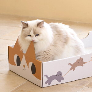 L ܂Ƃ i{[ 킢 Lxbh  ܂Ƃ{[h {bNX L̂ RpN 45*35cm Lp JԂg