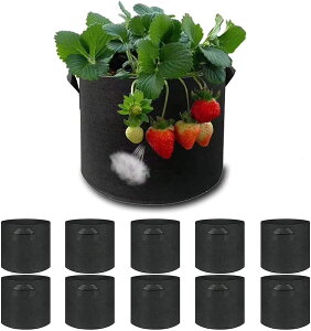 10Zbg 1K v^[ z ͔| tFg sDz|bg A K[fp ʋC diy | A琬 ؍͔| e