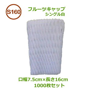 t[cLbv@S16VO@@1000y Ǝҗl zy lls zy  zy ʕlbg t[clbg ɏՍ ی z