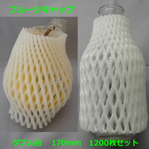 TG-17@t[cLbv@_u^Cv@170mm@@1200y lls zy  zy ʕlbg t[clbg ɏՍ ی zy Ǝҗl z