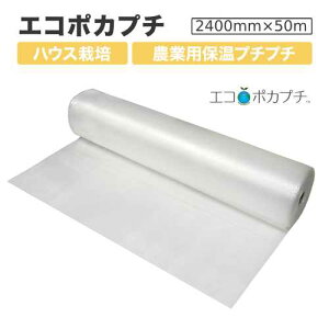 GR|Jv` d37L ό󐫁y _Ɨpۉ z2400mm×50m×1y Ǝҗl zy YƐ zy s zy  z~~t 3wi y ό ߗ _Ɨp ۉ  