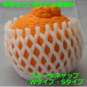 HN-60L@t[cLbv@VO^Cv@60mm@@5200y lls zy  zy ʕlbg t[clbg ɏՍ یށzy Ǝҗl z