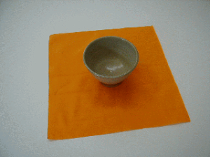 ERz@ʒiJbg500mm×500mm@500y |   z