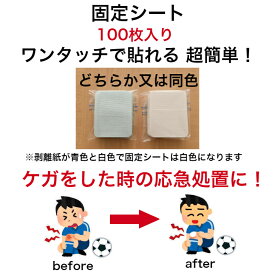 固定シート 100枚セット 樹液シート フットケア 足裏シート 三皇 足裏パック ケガ 止血 テーピング 応急処置 救急箱 日本製 ネコポス便 簡易包装