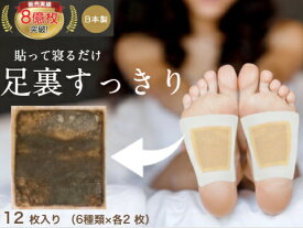 【累計8億枚突破】 足裏樹液シート 1000円ポッキリ お試しセット バラエティーセット お手入れ簡単 使用後洗わなくてOK サラサラタイプ すぐに貼れるワンタッチ 足の疲れ 足のむくみ 冷えとり 血流改善 妊活 めぐり 快眠 角質除去 スッキリ 三皇 フットケア 日本製 送料無料