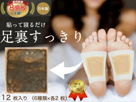 【累計8億枚突破】 足裏樹液シート 1000円ポッキリ お試しセット バラエティーセット 足の疲れ お手入れ簡単 使用後洗わなくてOK サラサラタイプ すぐに貼れるワンタッチ 足のむくみ 冷えとり 血流改善 妊活 めぐり 快眠 角質除去 スッキリ 三皇 フットケア 日本製 送料無料