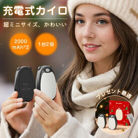 【毎日20時から21%OFFクーポン】充電式カイロ 可愛いカイロ マグネット 分離式 3段階温度調節 電気カイロ 一台2役 2000mAh*2 大容量 繰り返し 軽量 可愛い 省エネ 通勤 通学 アウトドア 防寒グッズ クリスマス プレゼント 冬対策 急速発熱 防寒グッズ