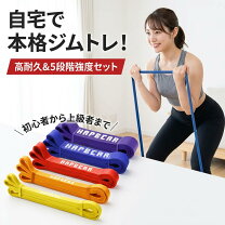 楽天市場】ゴム チューブ 懸垂 補助の通販