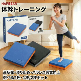 HAPBEAR バランスパッド バランスマット 2枚セット 6cm厚みの非滑り表面 トレーニング＆リハビリ用 姿勢矯正 体幹強化 ヨガ補助 オフィスサポート