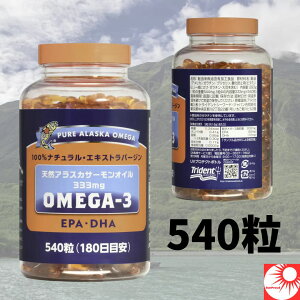 y N[ŃGTLxȃAXJ̊CňVRT[̖ zgCfg IK3 T[IC 540 6bVRAXJY EPAEDHA Zxz Tvg  Nێ