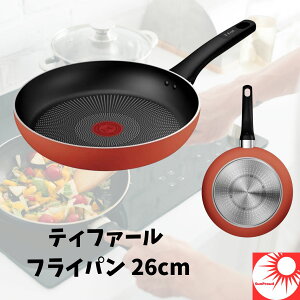 y ϋv`^EtH[X R[eBO zeBt@[ tCp 26cm