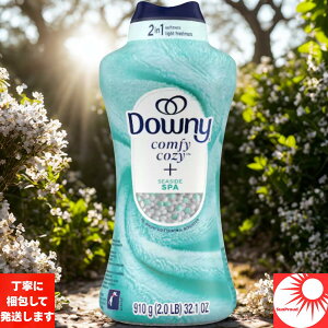 yEL΍z_Ej[ RtB[R[W[ Âr[Y V[TChXp̍ 910gbe r[Y L R  _܂荁 蒷 [J tbVt