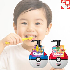 y 疁ȂIq܂́g݂͂Kh|PfUC z[`LbY |v ݂ 250g×2{ZbgbC`SuhE̍bqǂԂ킢e