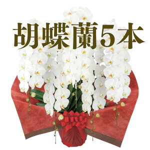 y Ӓ 5{ 50ց`60ւڂݍ zO` ̎s\ Yn ĕptbgt R`E  JXj j  a җ Ď J@ J ړ] I AC i ސE 