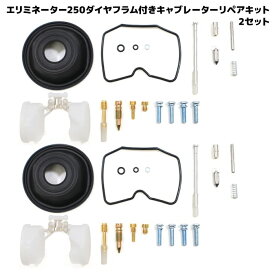 カワサキ エリミネーター250 キャブレター リペアキット 2個セット オーバーホール パッキン バルブ ダイヤフラム 修理 補修 メンテ