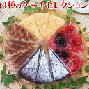 ケーキ ギフト 送料無料 4種のバラエティケーキセット12個（4種×3個）ガトーショコラ・チーズケーキ・ティラミストル…