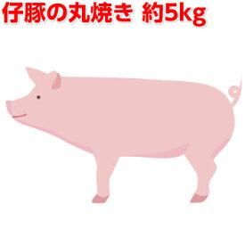 楽天市場 子豚 食品 の通販