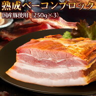 国産！熟成ベーコンブロック 250g×3パック 冷凍 肉加工品 ハム サンライズファーム 惣菜 ギフトお歳暮 …