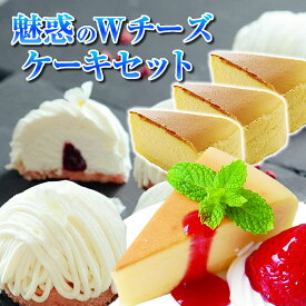 訳ありスイーツ アウトレット ケーキ 福袋 格安 魅惑のWチーズケーキ2種セット 送料無料 冷凍ケーキ イベント 業務用 フロマージュモンブラン ベイクドチーズケーキ お誕生日ケーキ 贈り物ギフト【一部地域別送料追加】