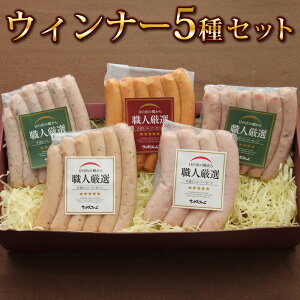 Ε Mtg  ƐECi[5Zbg Y؎gp ①z