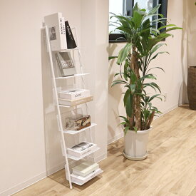 立て掛け メッシュ オープンシェルフ 6段 4段 2WAY 壁掛けラック ディスプレイ収納 韓国インテリア Hoola.