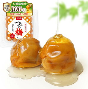 yIB썂~x݂͂~zY ~ 嗱 300g (8%) 󂠂 Ԃ~ n PUPUQLAyǗh{mďCz