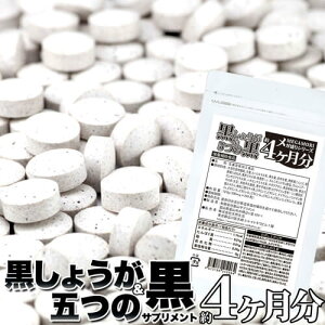 メガ盛り★黒しょうが&5つの黒サプリ 約4ヶ月分 120粒 健康 サプリ 温活 燃活 黒生姜 黒にんにく ヒハツエキス むくみ 冷え 温め
