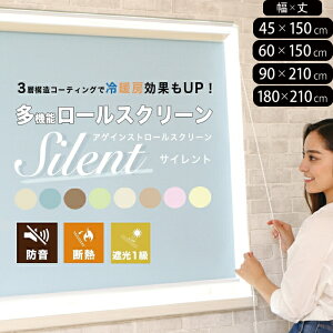 ���[���X�N���[�� �Ռ� �h�� ��180×��210cm ��90×��210cm ��60×��150cm ��45×��150cm �`�F�[���� �E���� 1�{ �A�Q�C���X�g ���[���J�[�e�� �Ռ� �f�M �Ռ�1�� �����i �X�N���[�� ���� �ՔM �������� 