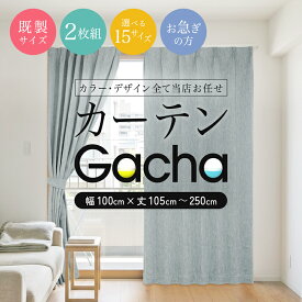 カーテン 既製サイズ 2枚組 送料無料 在庫限りあす楽 カーテンガチャ 【幅100cm 丈105〜250cm】 訳あり 訳有りカーテン ガチャガチャ 当店お任せ カーテン 福袋 [R-SS]