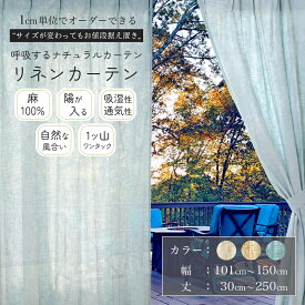 [本日限定12％OFFクーポン] 陽が入る オーダーカーテン リネン 麻100% 1枚入り 1cm単位からオーダー可能 カーテン 【幅 101～150cm】【丈 30～250cm】麻素材 透ける 非遮光 シンプル ナチュラル ワンタック 光を取り込む タッセル付 韓国インテリア 北欧 [非遮光CP]