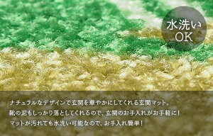 水洗いできるウェルカムマット(玄関マット)ナチュラルデザインシリーズサイズ:巾50×丈70cm【あす楽対応】