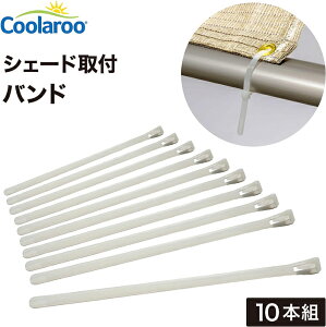 悯 VF[h I[jOtpŒoh 10{g i㕔ELj CLF-11 CoolarooЃ^JV[ 悯VF[h [CLT]