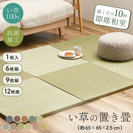 い草 いぐさ 置き畳 ラグ マット い草100% 消臭 抗菌 滑り止め 和モダン 和室 洋室 夏 年中 2畳 3畳 4.5畳 4畳半 6畳 65cm×65cm×2.5cm メセキ織 二二目織 紗彩 王騎 南風 軽い 薄い リビング 子供部屋 賃貸 置くだけ 1枚 セット 萩原 おしゃれ 送料無料 [CLT]