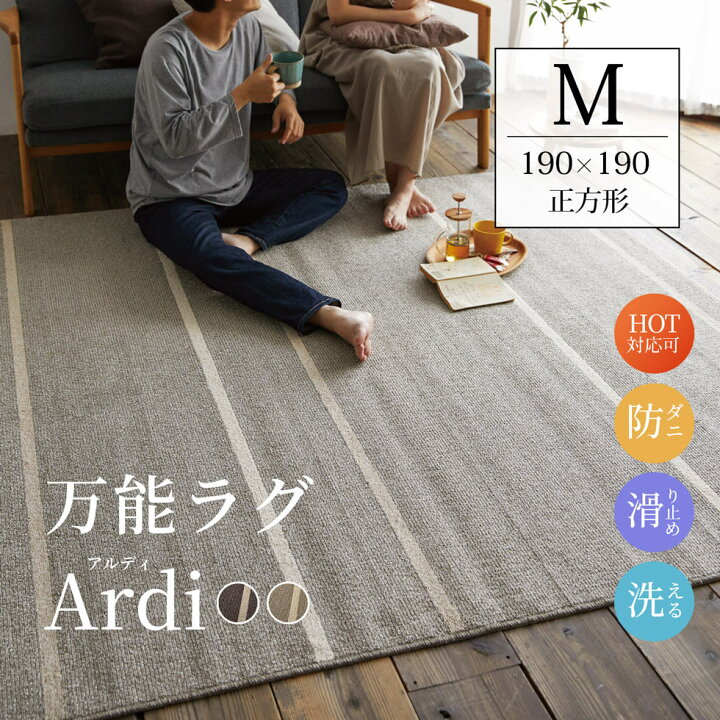 楽天市場】万能 洗えるラグ アルディ Mサイズ 190×190 正方形 通年 防 