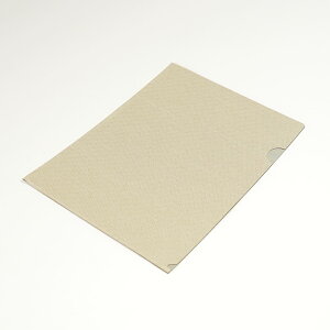 NAt@C t@C A4 220mm×310mm 1 [ z z Ȃ s G [  TXeiu SDGs GR ސ wZ  c ItBX V New