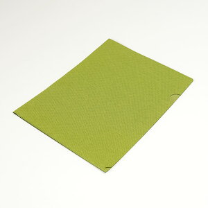 NAt@C t@C A4 220mm×310mm 1 [ z z Ȃ s G [  TXeiu SDGs GR ސ wZ  c ItBX V New