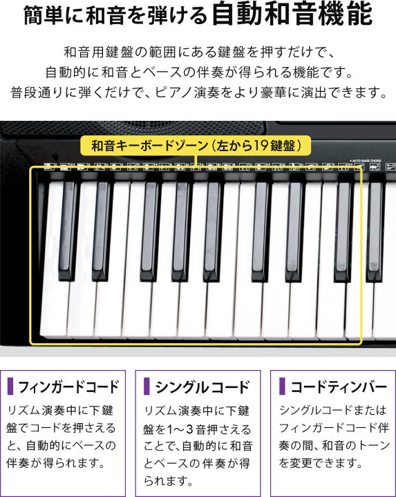 楽天市場 電子キーボード 61鍵盤 初心者 入門用 光る鍵盤 電子ピアノ キーボード 光るキーボード Led 発光キー 楽器 練習 音楽 初心者 子供 大人 入学祝い 新学期 プレゼント Sunruck サンルック Playtouchflash61 Sr Dp04 Sunruck Direct