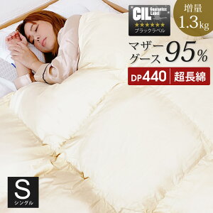 yz Hъ|zc VO H~p 1Nۏ zCg}U[O[X_E 95% 1.3kg 440dp { AGH 60Te ɏ n R hL H zc |zc SunRuck TbN A784SZ y