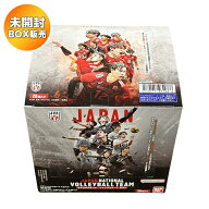 【BOX】 JAPAN NATIONAL VOLLEYBALL TEAM -男子日本代表ver.- ツインウエハース 2026 20個入り BOX 食玩 …