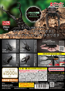 ̑}ӃAhoX Mt@mRMNK^ƃ}fBuXt^}^NK^ yS4 Rv[g Zbgz b tRv JvZgC o_C K` KV