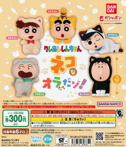 N񂿂 lRȃI]I yS5 Rv[g Zbgz b tRv JvZgC o_C K` KV