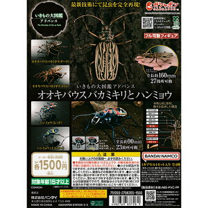 ̑}ӃAhoX IILoEXoJ~Lƃn~E yS4 Rv[g Zbgz b tRv JvZgC o_C K` KV