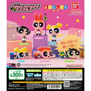 p[pt K[Y ͂ނłBł yS6 Rv[g Zbgz b tRv JvZgC o_C K` KV