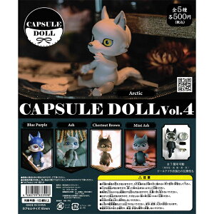 CAPSULE DOLL vol.4 yS5 Rv[g Zbgz b y\ 2025/9/12z׎o b JvZh[ tRv JvZgC GC`GG[ K` KV