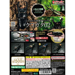 ̑}ӃAhoX NK^02 ym[}3ZbgA͊܂݂܂z b JvZgC o_C K` KV