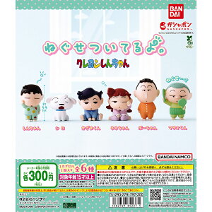 ˂ĂB N񂿂 yS6 Rv[g Zbgz b tRv JvZgC K` KV