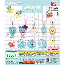 JOCHUM めじるしアクセサリー1 【全5種 コンプリート セット】 ｜ ジェオチャム フルコンプ カプセルトイ ガチャ ガシャ