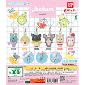 JOCHUM めじるしアクセサリー2 【全6種 コンプリート セット】 ｜ ジェオチャム フルコンプ カプセルトイ ガチャ ガシャ