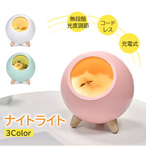 Cg iCgCg USB[d LED L Lv 铔 ドCg xbhCg xbhTChv R[hX ^ v[g Mtg ̓ Cg v 